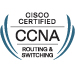 Cisco CCNA Support Engineers